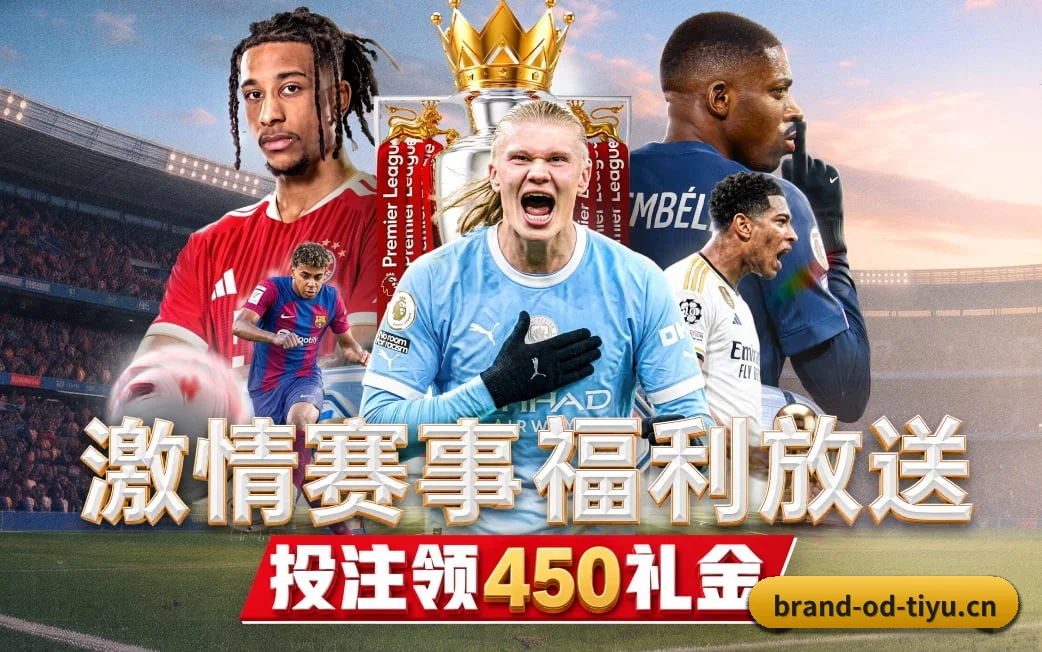 五维频道网格化布局 · 环球体坛电讯按项归仓 - 多运动项目内容板块